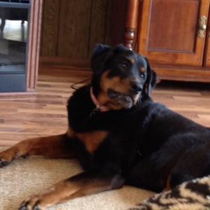 Meet your Posher, Earl